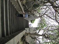 IMG 0820