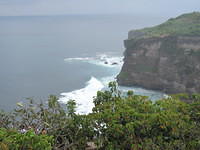 IMG 0821