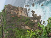 IMG 0830