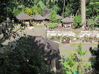 IMG 0924