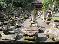 IMG 0925