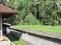 IMG 0927