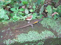 IMG 0929