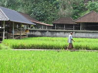 IMG 0930