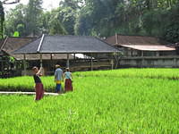IMG 0932