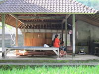 IMG 0933