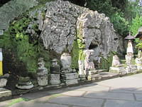 IMG 0937