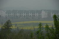 DSC 0005