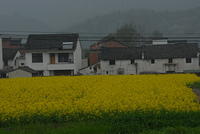 DSC 0020