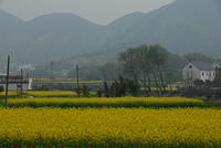 DSC 0045