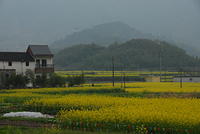 DSC 0046