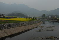 DSC 0049