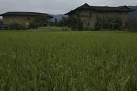  DSC1414