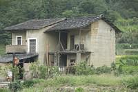  DSC1533