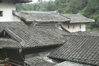  DSC1534