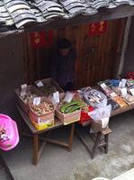 IMG 0726