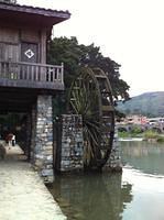 IMG 0798