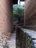 IMG 0853