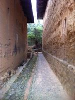 IMG 0854