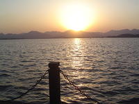 DSC05157