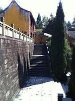 IMG 5678