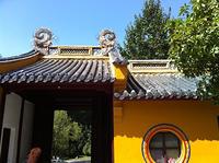 IMG 5692