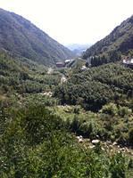 IMG 5694