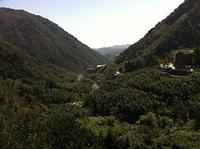 IMG 5695