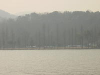 DSC00539
