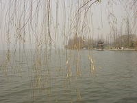 DSC00540