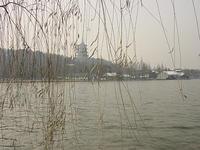 DSC00542