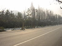 DSC00548