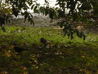 DSC00566