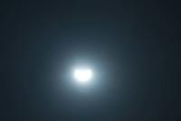 DSC 0005