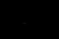 DSC 0032