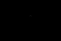 DSC 0059