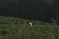 DSC 0005