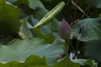 DSC 0029