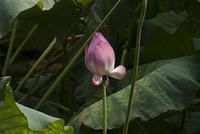 DSC 0040