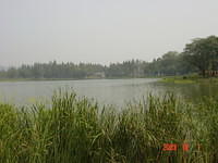 DSC01936