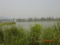 DSC01937
