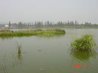 DSC01941