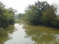 DSC06953