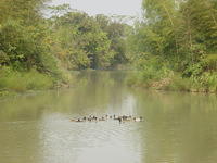DSC06959