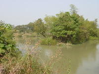 DSC06962