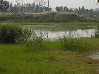 DSC06966