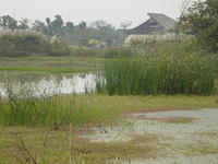 DSC06969