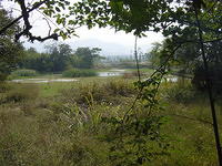DSC06972