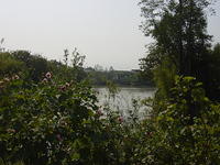 DSC06974