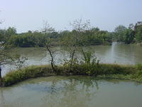 DSC06981